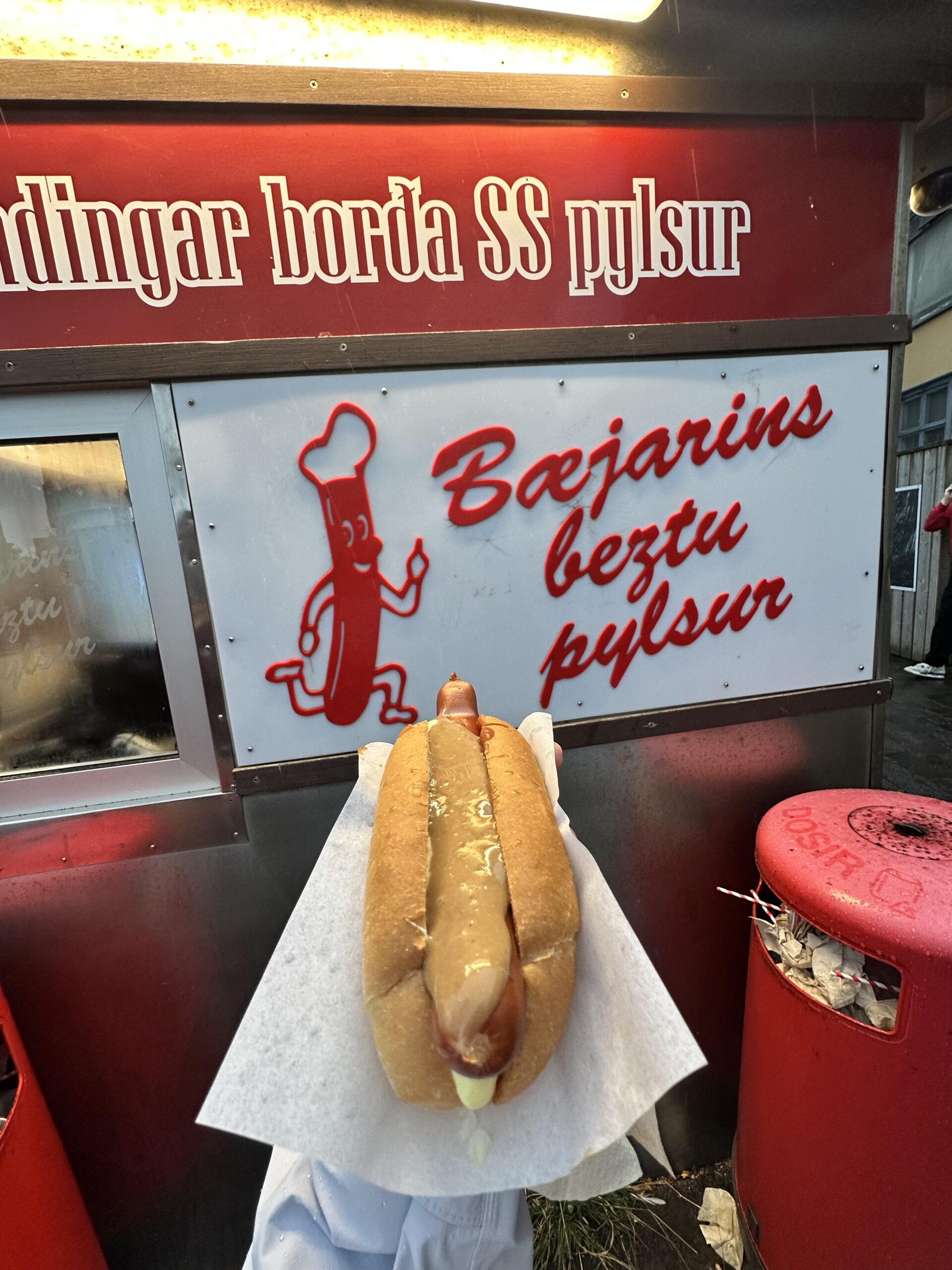 Iceland Food Guide: From the Blue Lagoon to Reykjavik