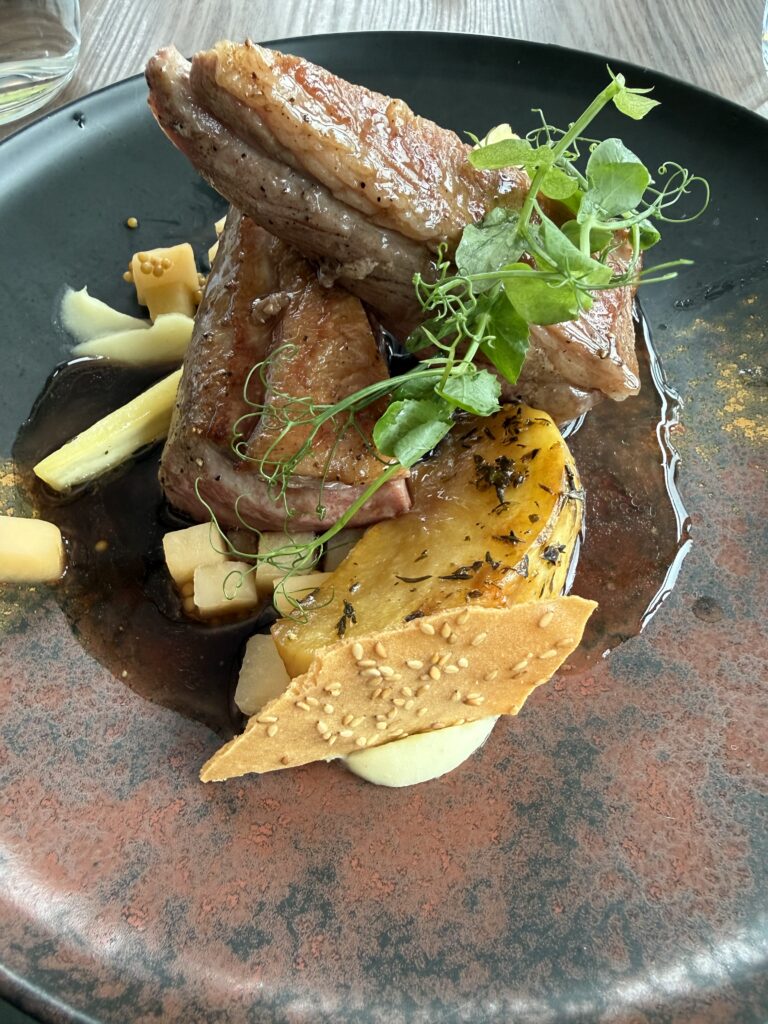A plated gourmet dish featuring thick cuts of seared lamn possibly duck breast  potato wedge, small diced vegetables, a rich dark jus, and garnished with fresh greens on a rustic dark plate