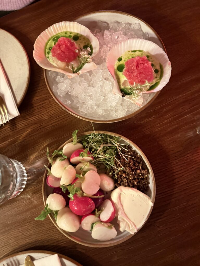 Two small plates on a wooden table: one features scallops served in shells over ice with a bright pink granita, and the other holds fresh radishes with Icelandic skyr and mico greens. 